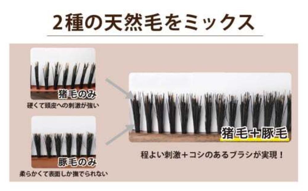 商品紹介3