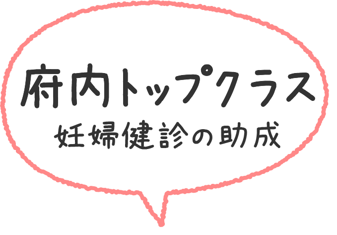 府内トップクラス妊婦健診の助成